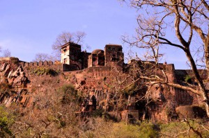 Ranthambore Fort 1
